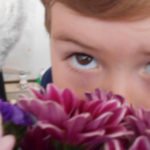Little Willows Flowers Provocation